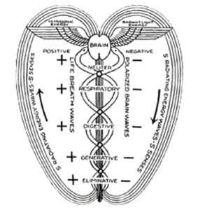 Polarity Therapy Charts