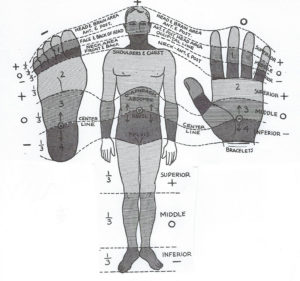 Polarity Therapy Graphic