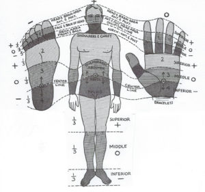 Polarity Therapy Charts